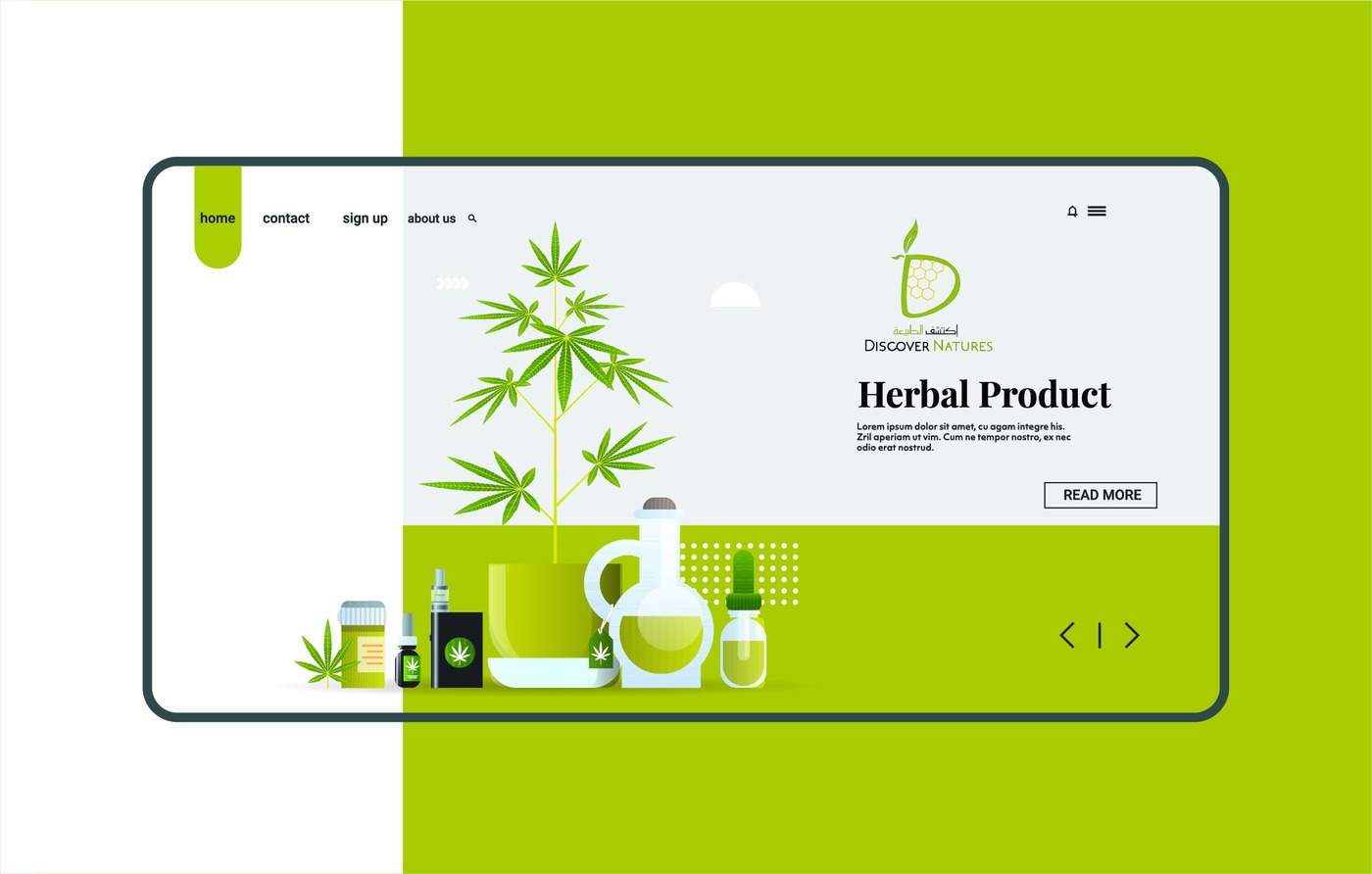 Discover Natures — Brand Identity