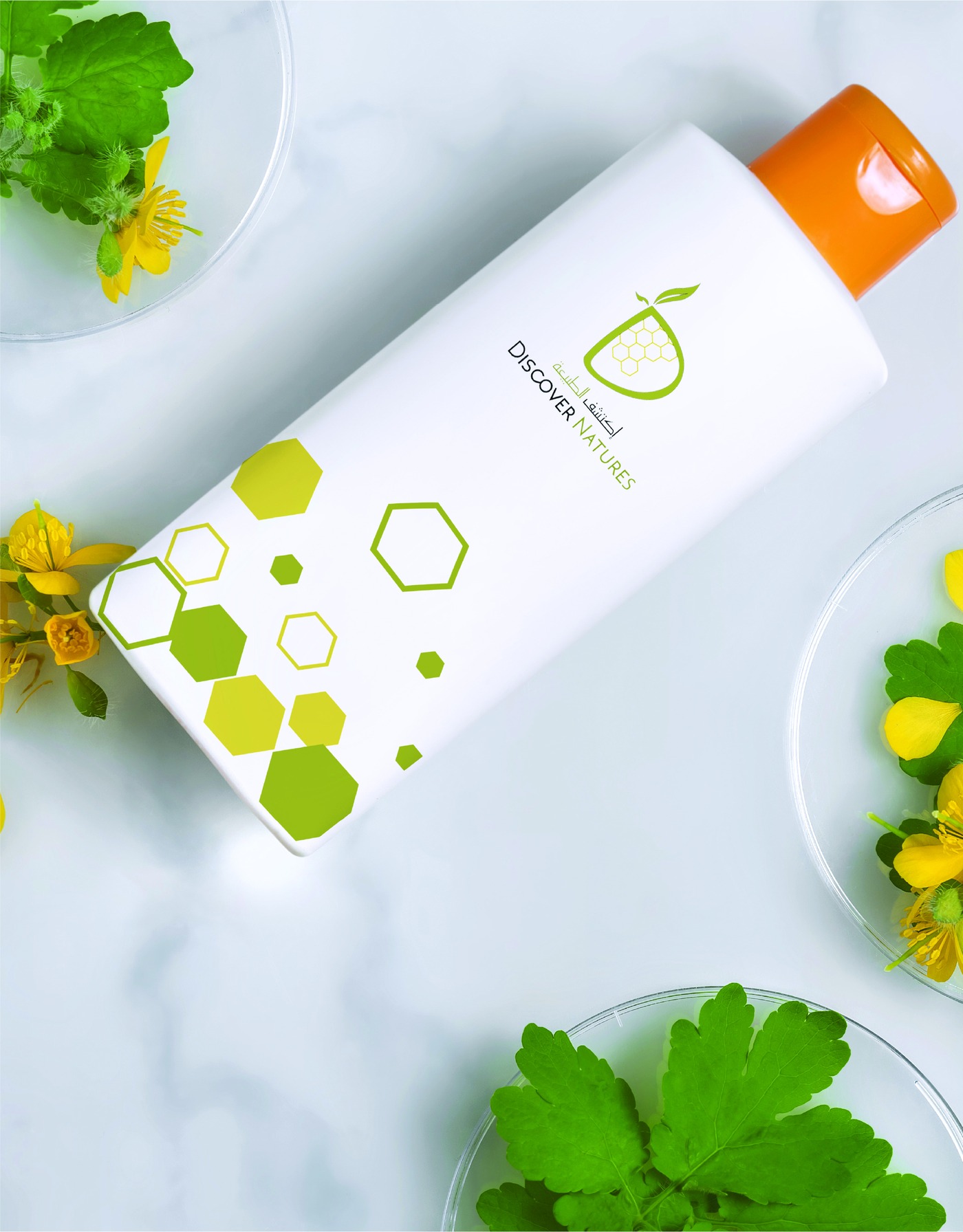 Discover Natures identity